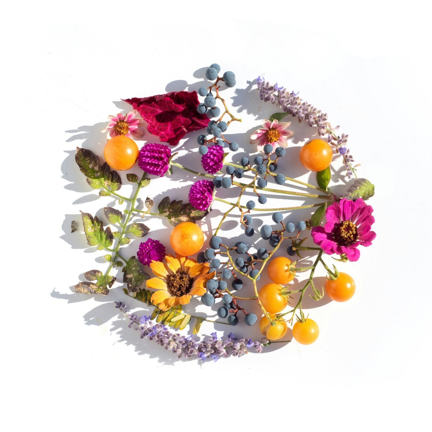 Fragrance Matching: How Our Lab Team Recreates the Scent You Have in Mind
