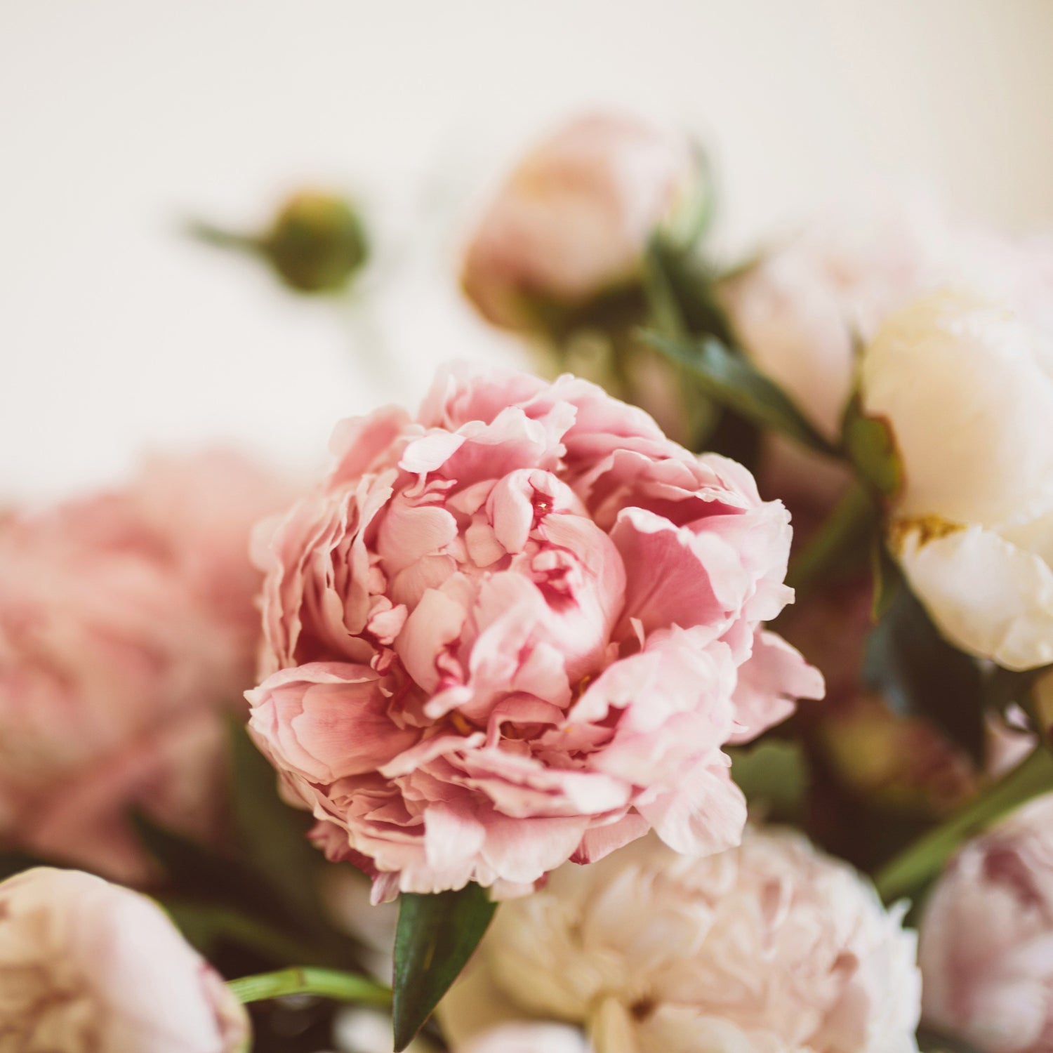 Why Choose TPPS Aromatic – Wholesale Fragrance Oil Supplier